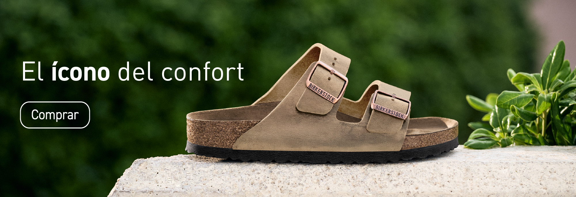 Birkenstock ARIZONA FAVORITOS